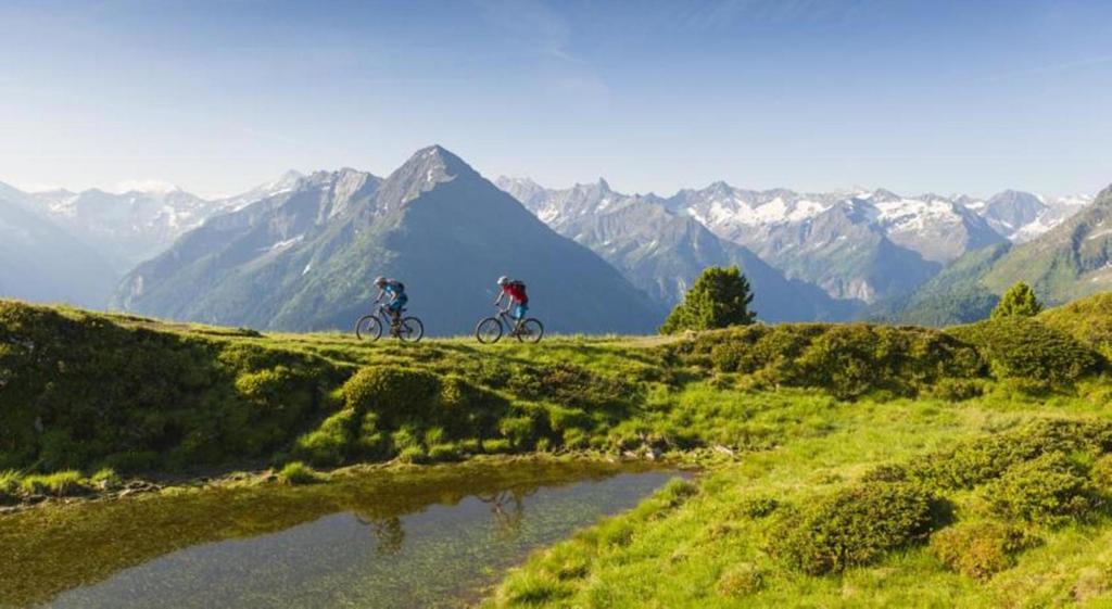 Apart Alpin Hippach Exteriör bild